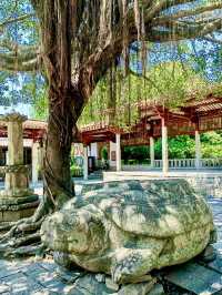 千年古剎・泉州開元寺的晨鐘暮鼓