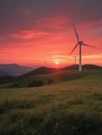 重慶人私藏！周邊5個避暑地均溫20℃，暑假最後衝