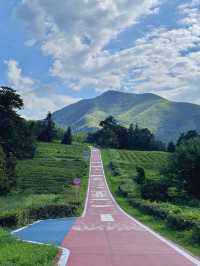 江蘇“小阿勒泰”宜興2天1夜遊茶園騎行+庫區絕景
