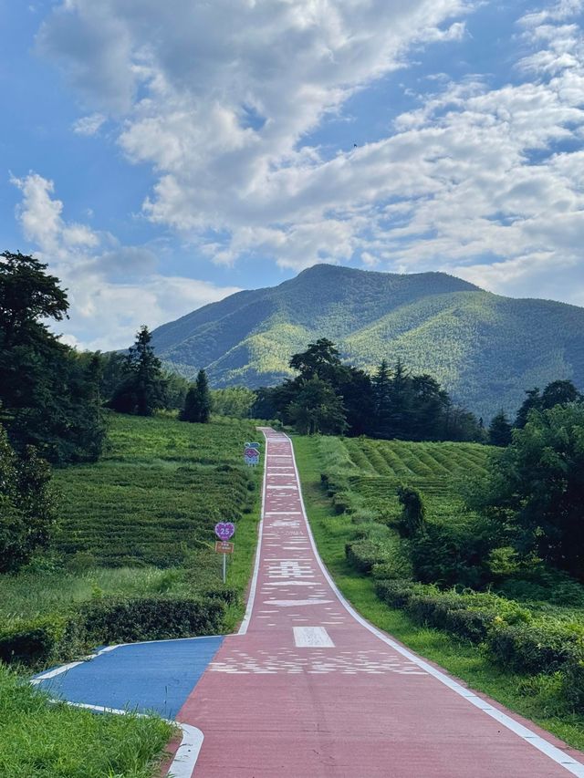 江蘇“小阿勒泰”宜興2天1夜遊茶園騎行+庫區絕景 江蘇“小阿勒泰”宜興2天1夜遊茶園騎行+庫區絕景