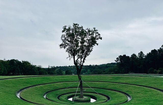 南京4日深度遊全攻略：從櫻花到楓葉，吃遍鴨血粉絲與鍋貼