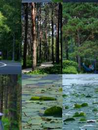 長春旅行攻略