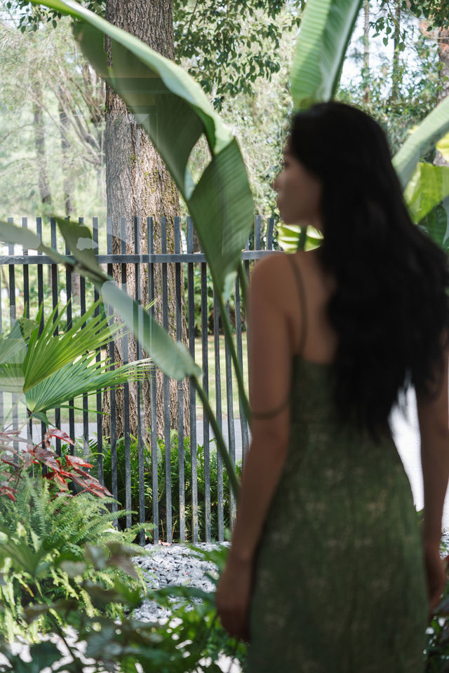 英德松香山舍:和朋友躺進「廣東小斯里蘭卡」 英德松香山舍:和朋友躺進「廣東小斯里蘭卡」