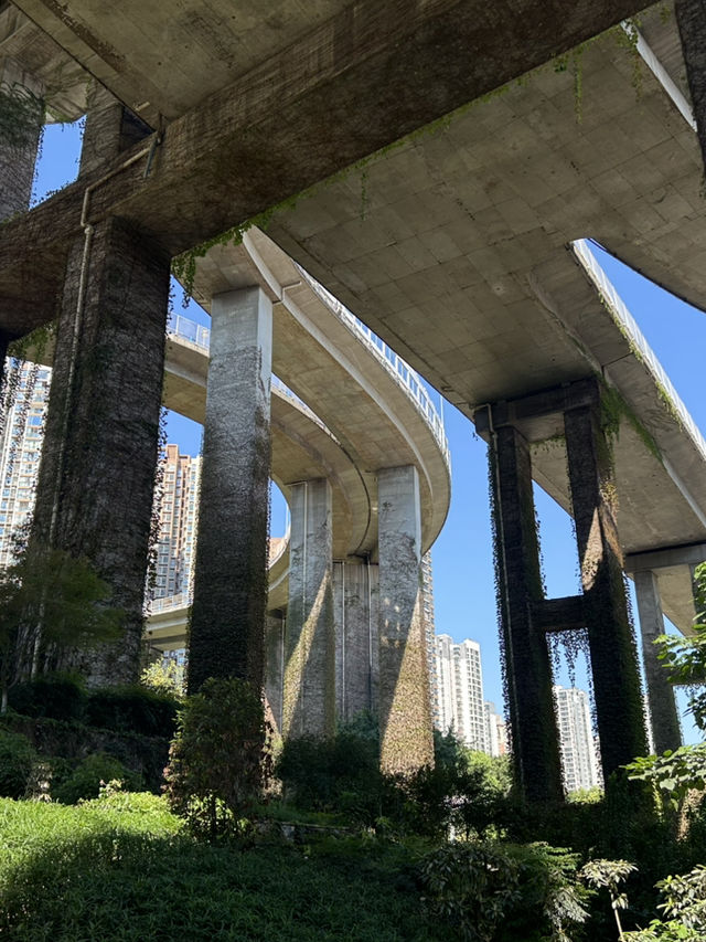 How I spent 1 day in Chongqing
