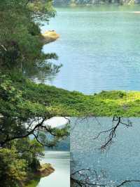 廈門天竺山徒步!闖進綠野仙蹤畫卷
