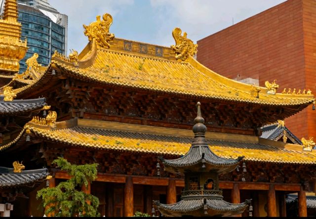 閨蜜一路狂讚！這條上海Citywalk路線，我直接封神