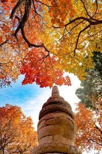 探秘臨朐絕美紅葉山莊
