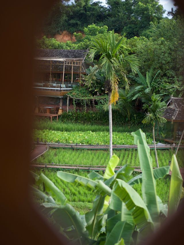 西雙版納必住!藏在稻田裡的傣族風情度假別墅  帶小孩來版納玩,挖到一家神仙親子酒店! 隱匿在成片稻 西雙版納必住!藏在稻田裡的傣族風情度假別墅  帶小孩來版納玩,挖到一家神仙親子酒店! 隱匿在成片稻