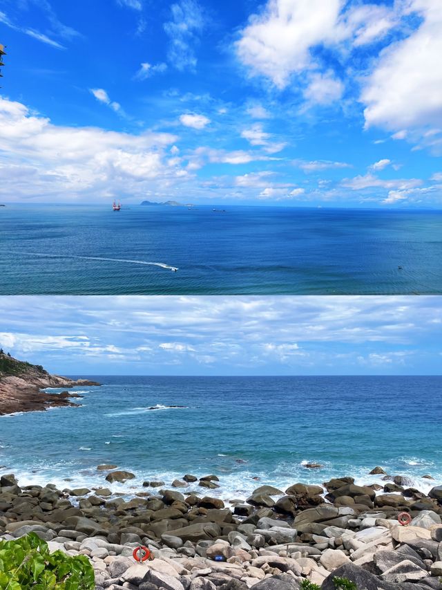 億萬年的海龜故事