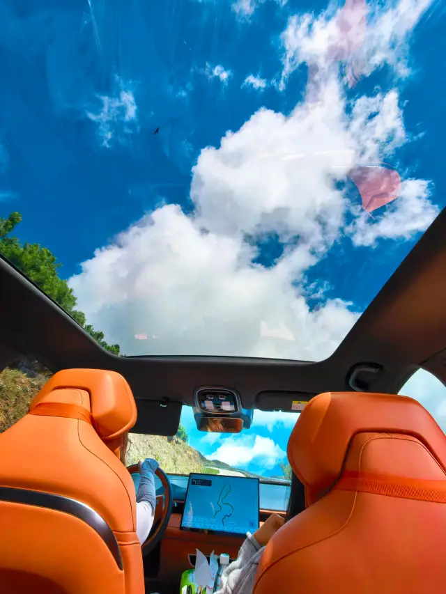 #Qujing Golden Autumn Landscape Cultural Tour Golden autumn road trip, encountering the poetic romance of Dahai Grass Mountain

On National Day, I embarked on a road trip with my "blue friend",