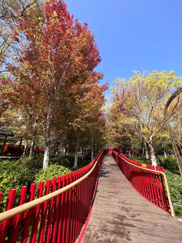 西安東郊免費遛娃寶藏地，幸福林帶兒童樂園太香啦！