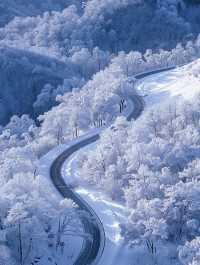 亞雪公路裹雪帶鬆如絲帶，一路風光醉人心