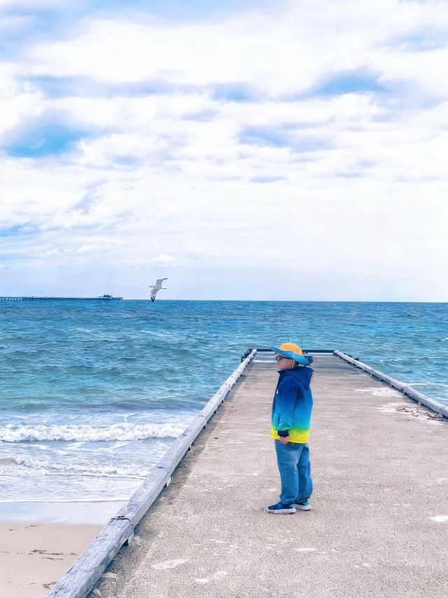 西澳D2:Cape Naturaliste懸崖海景