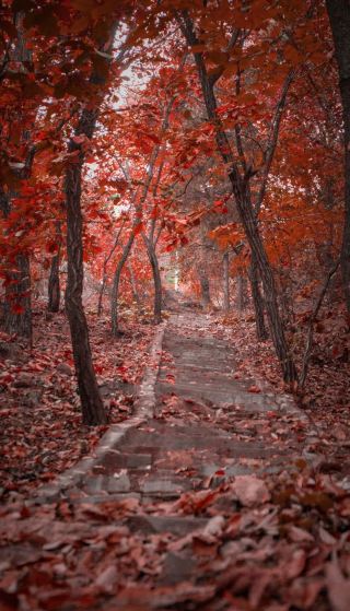 The hidden mountain paradise of Xianren Temple in autumn is absolutely stunning!