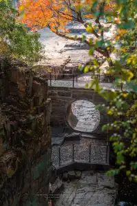 接下來的蘇州將是封神級別的秋景
