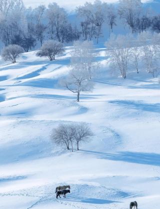 No one can resist going to Ulan Butong to play in the snow in winter