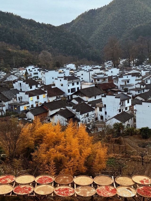 婺源秋日名場面：邂逅中國最美鄉村的詩和煙火