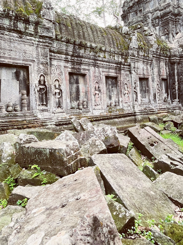🇰🇭Ta Prohm: Where Stone Dances with Roots & Time Stands Still 🌳🏛️