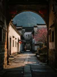 粵北秋遊天花板!古道徒步+稻田小火車,娃迷上姓氏考古之旅