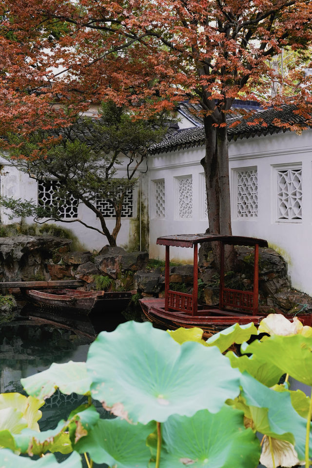 江南秋色藏留園讓人忍不住愛了又愛! 江南秋色藏留園讓人忍不住愛了又愛!