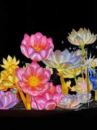 廈門夜遊頂流！園博苑花燈每週末限定浪漫