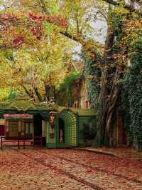 10 Cool and Quirky Things to Do in Paris! ✴️🗺