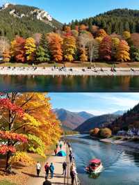 @閨密,呢個週末,我哋一齊去東爐村偷「小燈籠」啦!