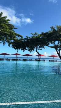 A Stunning Black Sand Beach Experience