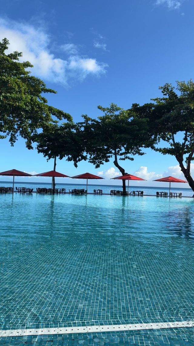 A Stunning Black Sand Beach Experience A Stunning Black Sand Beach Experience