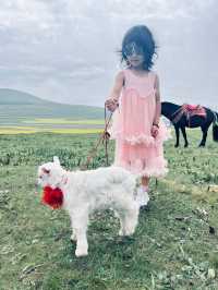 萌娃拍照神器!3招教你拍出膠片感童真大片