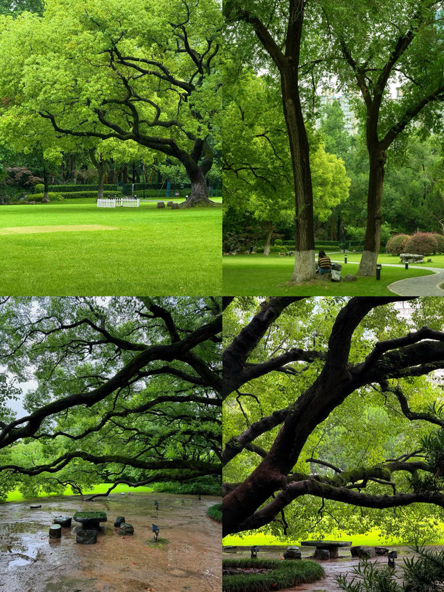 上海是一個巨大的公園… 上海是一個巨大的公園…
