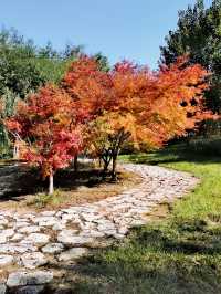 【河南省湯陰縣】城南公園。