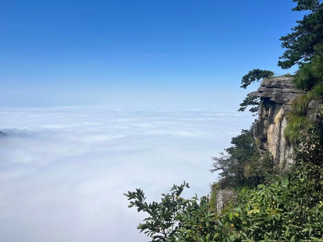 秋冬廬山雲端仙境避人海秘笈
