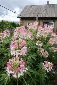 離天空很近的世外桃源小村莊