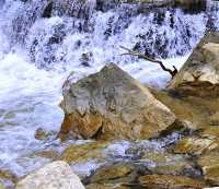 抬頭便是銀河落九天雲台山泉瀑峽