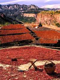 北京人的最愛，南太行的最美--秋日限定色！