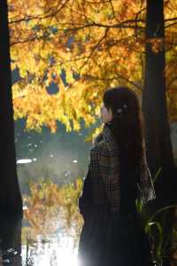 一腳跌進燕雀湖油畫森林