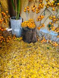 在佛山，如何過一個文藝感拉滿的秋日午後？