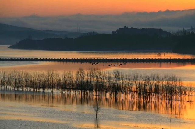 絕美日落觀鳥地