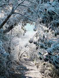 【莽山冬季仙境｜2天1夜霧淞溫泉全攻略！