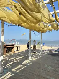 廈門11月15日現況，誰懂今天的天氣含金量！！