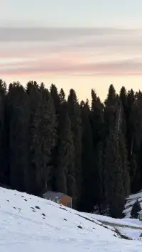 成都秋假 新疆賽里木湖4天三晚攻略來啦