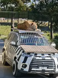 上海野生動物園的快樂