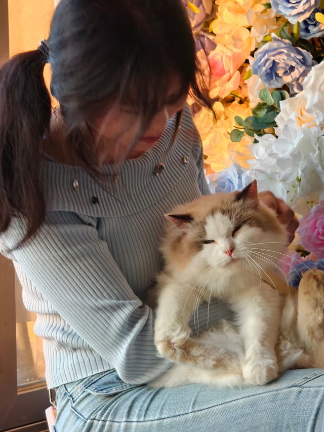 平潭這家海景民宿也太治癒了！面朝大海撸貓太幸福