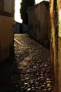 格拉納達的秘境:阿爾罕布拉宮的水與光