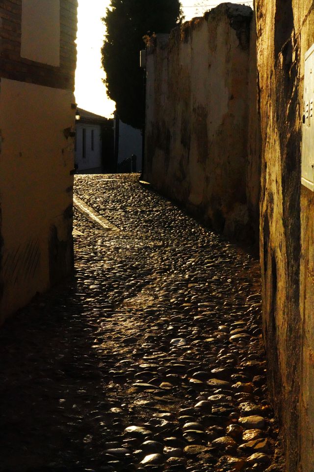 格拉納達的秘境:阿爾罕布拉宮的水與光 格拉納達的秘境:阿爾罕布拉宮的水與光