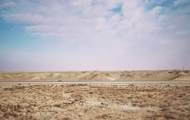 4天秋遊酒泉 美景全打卡攻略 4天秋遊酒泉 美景全打卡攻略