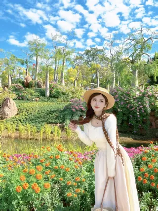 The chrysanthemum exhibition at Qingxiu Mountain is so beautiful