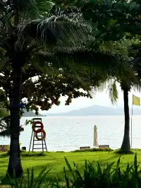 4個被低估的海島盲盒玩法