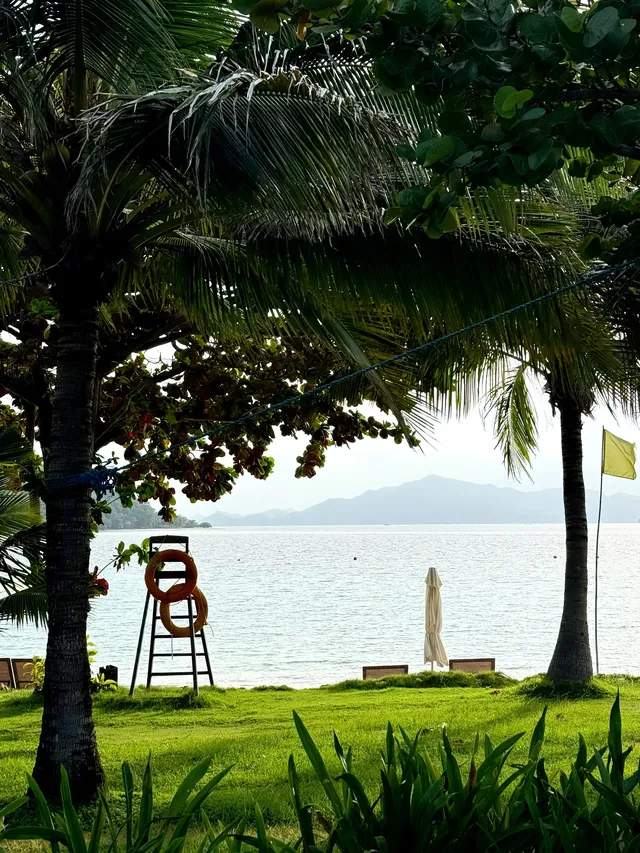 4個被低估的海島盲盒玩法
